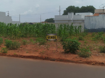 Terreno - Venda - Jardim Carolina - Terra Roxa - PR