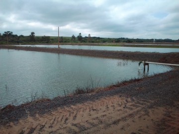 Sítio - Venda - Santa Rita D'oeste - Terra Roxa - PR